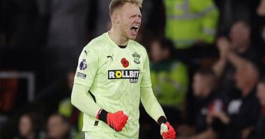 Aaron Ramsdale 's first clean sheet for 12 months underlined his importance to Southampton