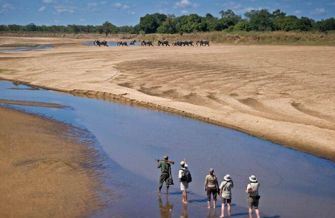 Africa’s Best Luxury Safari Destinations for Wildlife Lovers