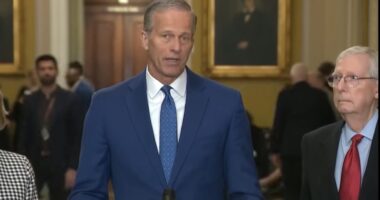 After Trump Landslide, GOP Senate Votes For Business As Usual