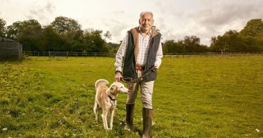 Alastair Stewart announced he was diagnosed with early-onset vascular dementia in September 2023 and has since spoken of how the disease has affected him