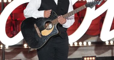 Triston Harper is a married man and preparing to become a dad at just age 16; pictured February in American Idol still