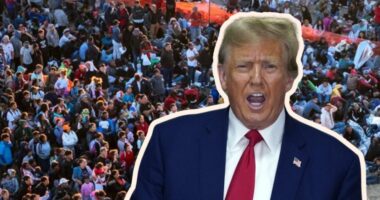 American Voters Overwhelming Support President-Elect Trump's Plan to Deport Illegal Immigrants.