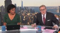 Gus Rosendale and Pat Battle, both co-anchors for NBC 4 New York's 'Weekend Today in New York', appeared to express disdain over state officials' decision to put to the pet down - painting it as perhaps premature
