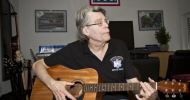 Another One Bites the Dust! Resistance Lib & Author Stephen King Leaves X.