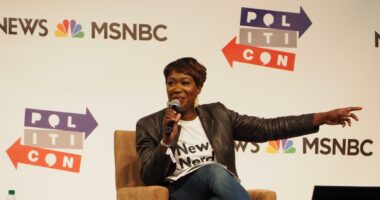 Another Win! MSNBC's Joy Reid Deletes Her X Account Following Trump's Landslide Victory.