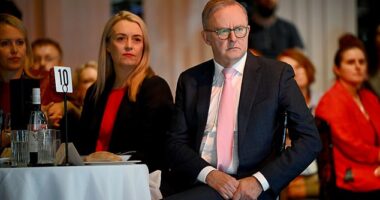 Prime Minister Anthony Albanese sold his Dulwich Hill investment townhouse for $1.75million on Friday