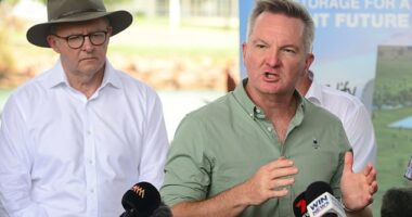 Climate change minister Chris Bowen has insisted the Australia government will remain committed to fighting climate change regardless of Donald Trump's policies