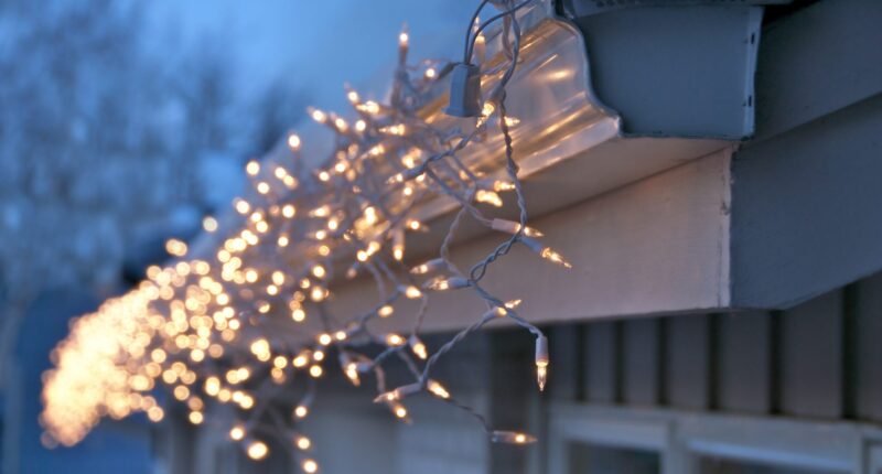 Prayers Up! 24-Year-Old California Man, Antonio Pascual Mateo, Reportedly Passes Away After Being Electrocuted While Hanging Christmas Lights