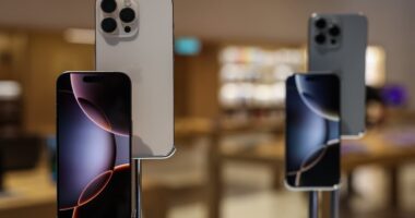 Apple may have an AI trick up its sleeve, says this VC investor