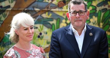 Former Victorian Premier Dan Andrews and wife Catherine. Mr Andrews was captured on audio declaring, 'we hit him'