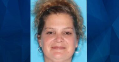BOLO: Police Seek Tips on California Woman Missing Since October