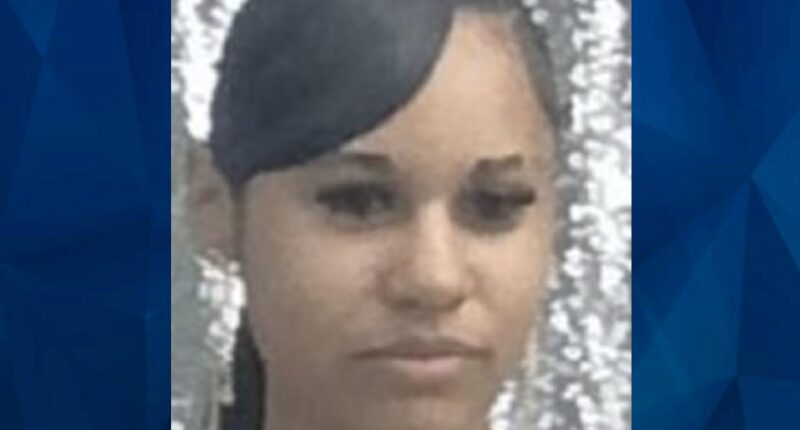 BOLO: Police Seek Tips on Missing 19-Year-Old Michigan Teen