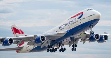 British Airways is facing a backlash after axeing flights to two of the UK’s most important allies in the Middle East