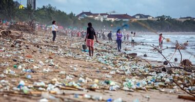 Bali is crowned the top destination to AVOID - here's why Aussies have been told not to visit the insanely popular holiday island