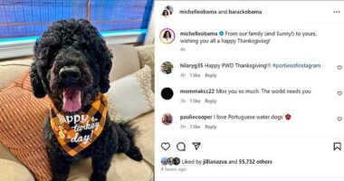 The Obamas featured dog Sunny for their Thanksgiving message