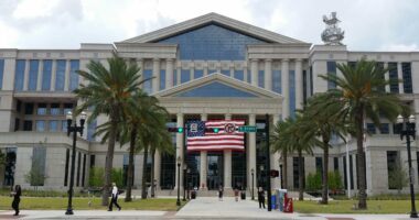 Bellwether County Turnout Suggests Trump Could Take Georgia.