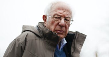 Bernie Sanders Joins the Dog-Pile About the Working Class on the Remains of the Harris Campaign – RedState