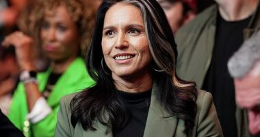 Betting odds reveal Trump Cabinet pick facing most jeopardy in Senate confirmation hearings