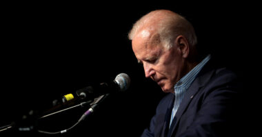 Biden Campaign Calls Canceled After 'Garbage' Smear.