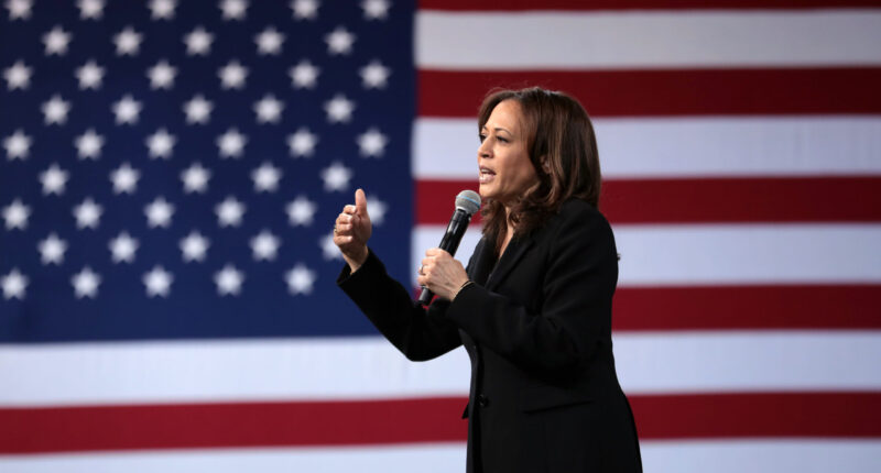 Biden Still Would’ve Lost, But Dems Would Be Less Embarrassed