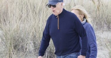 The 81-year-old was seen struggling to make his way down Gordons Pond Trail in Rehoboth Beach near his home on Sunday as he took a walk