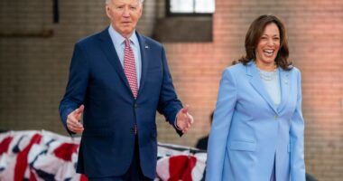 Biden’s polling said Trump would win at least 400 electoral votes before president quit the race, Obama’s aide claims