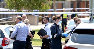 A neighbour said she heard a 'blood-curdling scream' after a woman discovered the bodies just before 11am on Thursday (pictured, detectives arrive at the scene in Mordialloc)