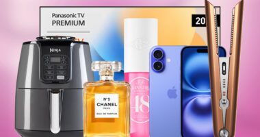 Black Friday 2024 – live: Half price Oodies and up to £70 off Ninja air fryers