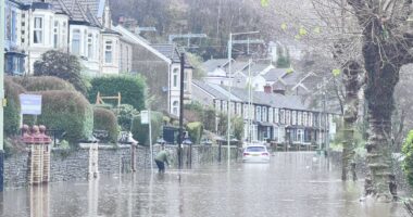 Body found in search for dog walker as Storm Bert brings month of rain in 48 hours