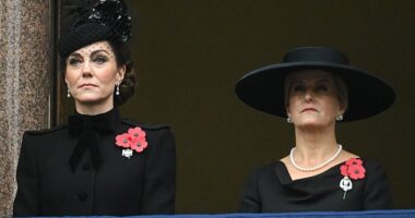 Princess Kate watched today's Whitehall event from above, on the nearby Foreign, Commonwealth and Development Office balcony in central London, alongside Sophie, the Duchess of Edinburgh