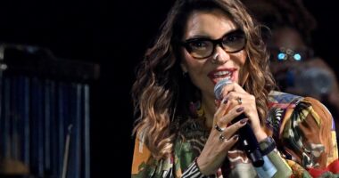 Brazil’s first lady insults Elon Musk in sweary speech about social media. He quickly responded.