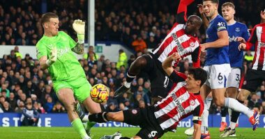 Brentford have successfully appealed Christian Norgaard's red card against Everton