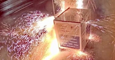 Driver drops explosive into Portland ballot box