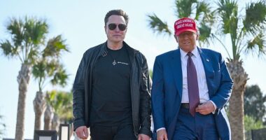 President-elect Donald Trump greets Elon Musk as he arrives to attend a viewing of the launch of the sixth test flight of the SpaceX Starship rocket on November 19, 2024. Zakaria kindly called the SpaceX founder 'brilliant' during his show this week