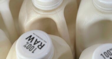 California suspends company’s sale of raw milk after new outbreak of bird flu