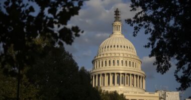 Capitol Police Arrest a Man Carrying a Torch Lighter and Smelling of Fuel – HotAir