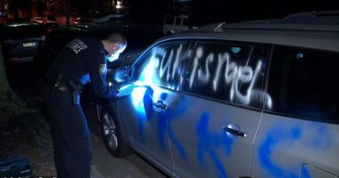 A car was torched and multiple others graffitied with anti-Israel slogans overnight in Sydney