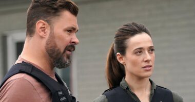'Chicago P.D.' Star Teases the "Kind of Something That Every Couple Deals With" That Could Derail Burzek's Wedding