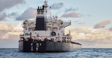 European investigators said the massive Yi Peng 3 bulk carrier (pictured) was responsible for the cables being cut