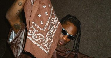 Travis Scott , Post Malone , Lady Gaga and Green Day are all set to play at the famed festival Coachella