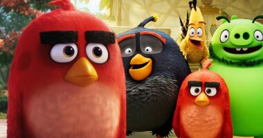 Confirmation, Cast & Everything We Know