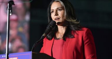 Crazed Democrats Trot Out 'Russia, Russia, Russia' Talking Point Against Tulsi Gabbard – RedState