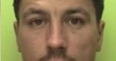 Ionut Torodoc, 37, has been locked up for sexually assaulting five women over a two-day period