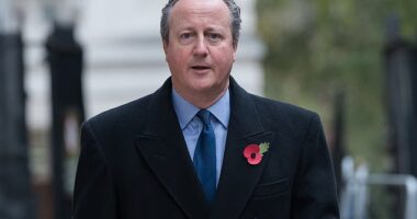 The Conservative former PM, who was ennobled as Lord Cameron by Rishi Sunak and served as his foreign secretary , had previously opposed moves to change the law.