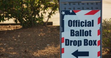 Official Ballot Drop Box
