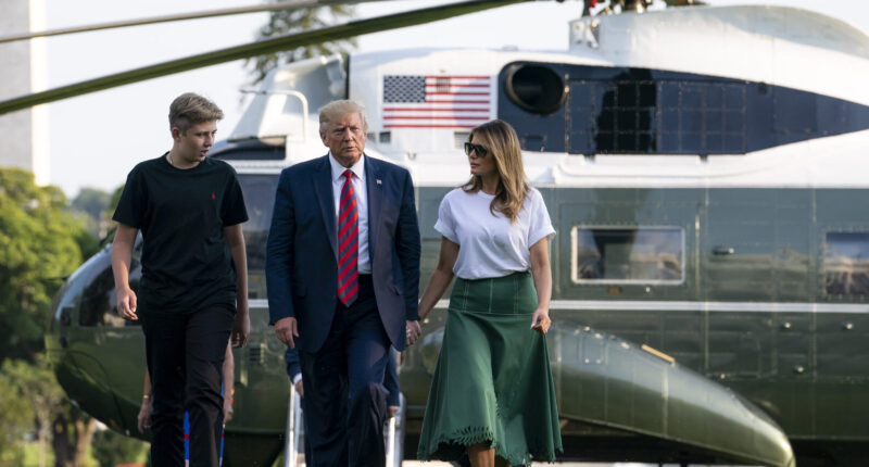 Dem Mega Donor Says Barron Trump Smarter Than Entire Harris Campaign.