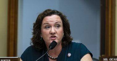 A judge granted a temporary restraining order against Congresswoman Katie Porter's ex-boyfriend after she filed a petition accusing him of abuse and harassment