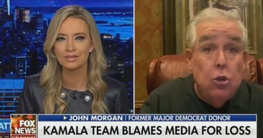 Former Democratic megadonor John Morgan believes Donald Trump 's 18-year-old son Barron was smarter than every member of Kamala Harris' campaign because of the critical role he played in pushing his father to appear on podcasts