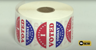 Democrats Block Every Effort To Keep Noncitizens From Voting