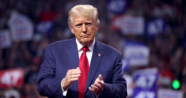 Democrats Have Unleashed Donald Trump At His Best